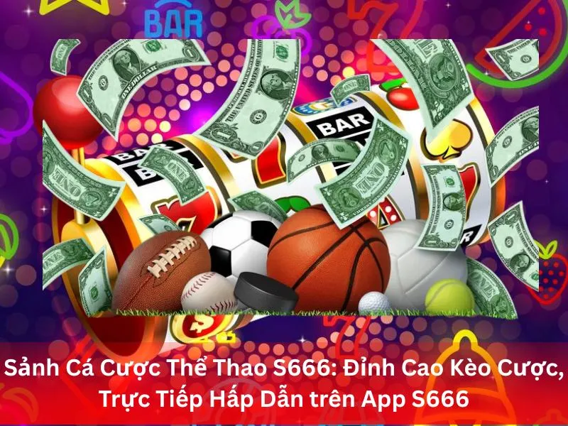 Sảnh Cá Cược Thể Thao S666